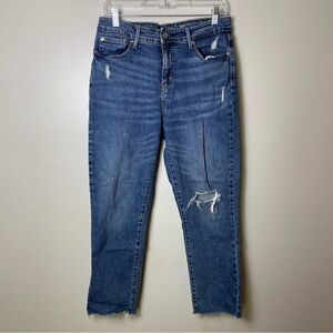 Denizen Levi’s High Rise Ankle Slim Jeans Size 10